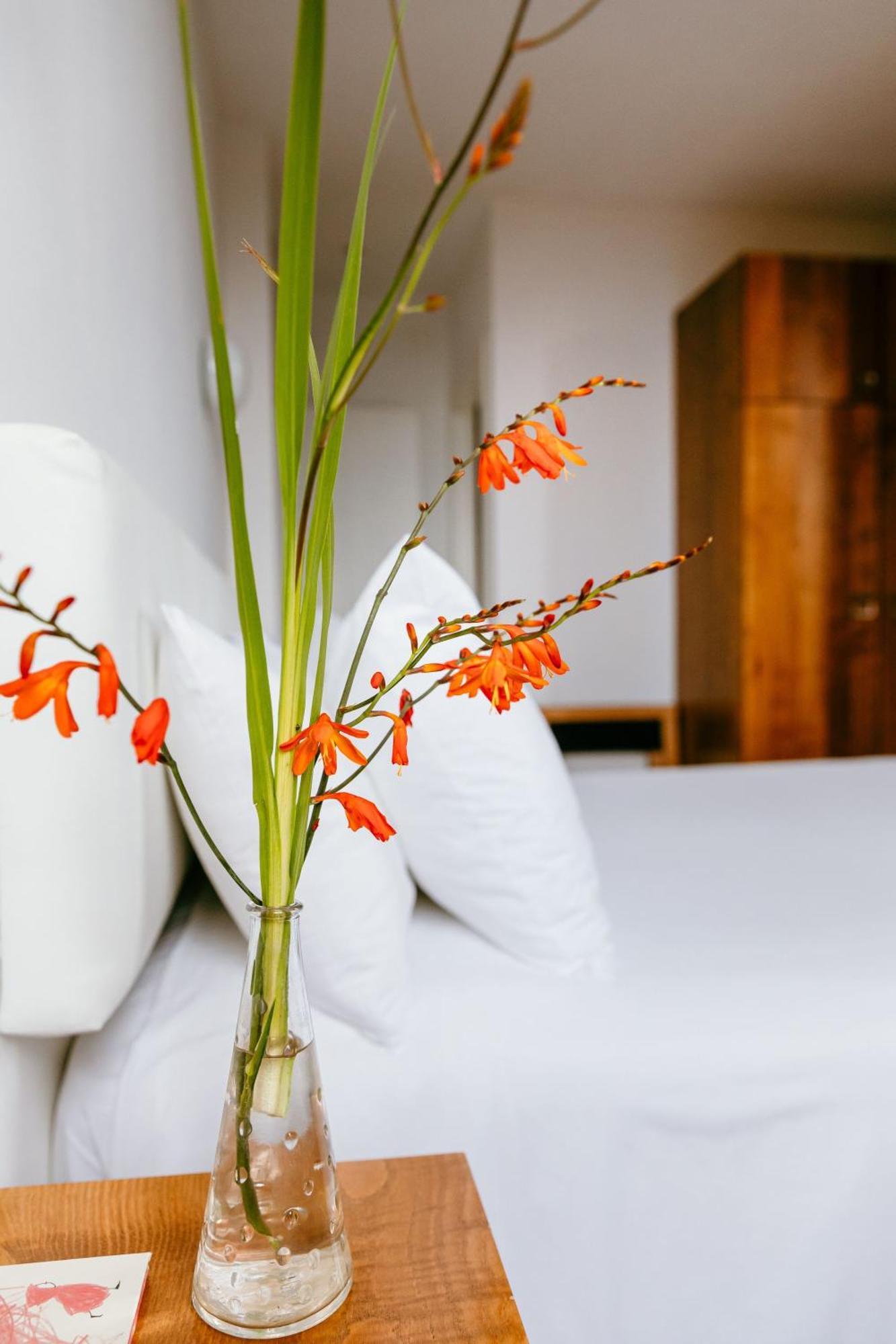 Hotel El Castano Dormilon Santa Marta de Ortigueira Buitenkant foto
